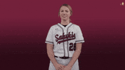 siusalukis siu salukis salukisoftball siusoftball GIF