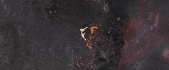 susiesuh music video nature rock singer GIF