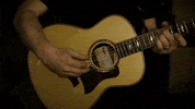 Loma Vista Recordings Dance GIF by Manchester Orchestra