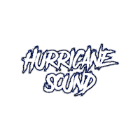GVINMUSIC gvin hurricane sound gvinmusic hurricanesound Sticker