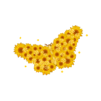 Sticker Butterfly Sticker