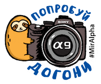 A9 Фотограф Sticker by Sony Россия