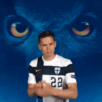 Celebrate Euro Cup GIF by Huuhkajat