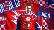 Frantisek GIF by HC Dynamo Pardubice