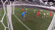 Goalkeeper Save GIF by Football Australia