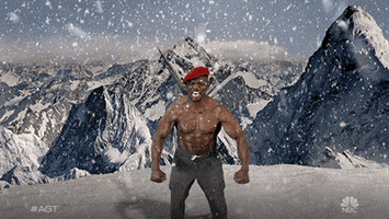 Flying Terry Crews GIF by America's Got Talent