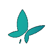 PalliativeCareQld pcq palliative care palcareqld Sticker