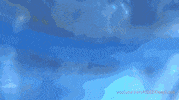GIF by KQEDScience