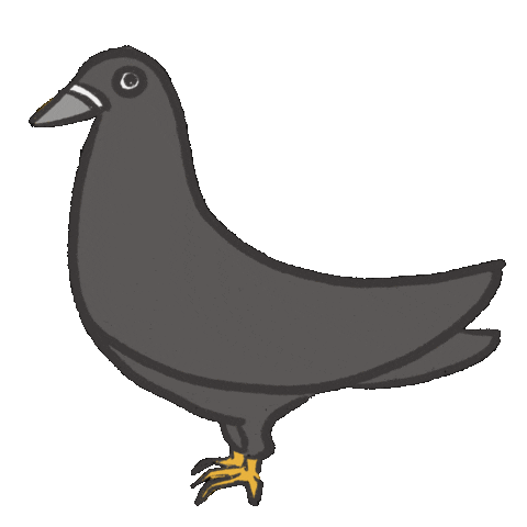 Bird Raven Sticker