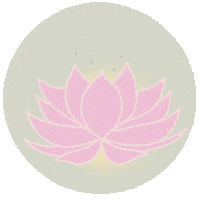 Inner Peace Yoga Sticker by scholzydesign
