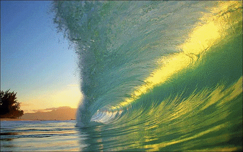 wave GIF
