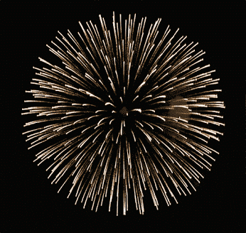 Fireworks GIF|100%x100%