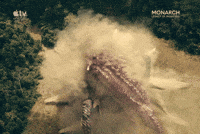 Skull Island Monarch GIF by Apple TV