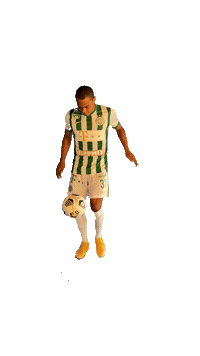 Henry Wingo Sticker by Ferencvárosi Torna Club