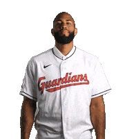 Major League Baseball Sport Sticker by MLB