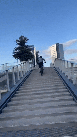 ritaverduin giphyupload GIF