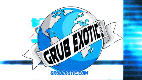 GrubExotic giphyupload glitch giphystrobetesting candy GIF