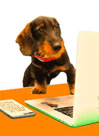 Dog Work Sticker by Maje Paris