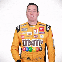 Game Over Whatever GIF by Joe Gibbs Racing