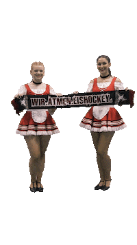 Kölner Haie Fan Sticker by Kammerkaetzchen