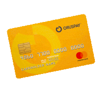 Pagamento Sticker by Felithi