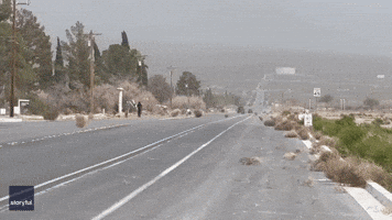 'Extreme Amount' of Tumbleweeds Invades Nevada Town