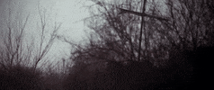 man in the wilderness GIF by Warner Archive