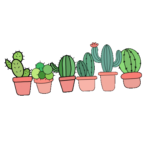 Plant Cactus Sticker