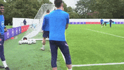 Three Lions Rice GIF by England