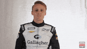 indy 500 indycar GIF by Paddock Insider