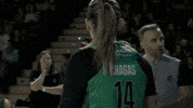 Flor Chagas GIF by Araski
