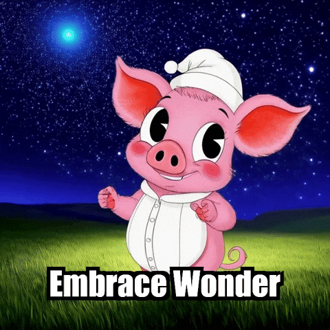 Stars Wonder GIF by The Pigasso