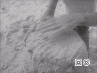 Making Beach Day GIF by Beeld & Geluid