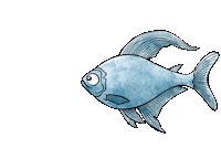 Badglueck bad wasser meer fisch Sticker