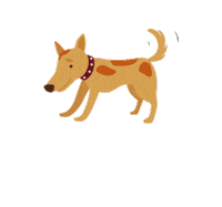 Cat Dog Sticker by Affinity