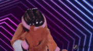 Philly GIF by Philadelphia Flyers