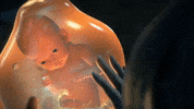 Death Stranding Baby GIF by PlayStation