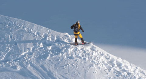 GIF by Red Bull