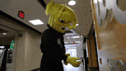 Wu_Shock wsu wu washyourhands handsanitizer GIF