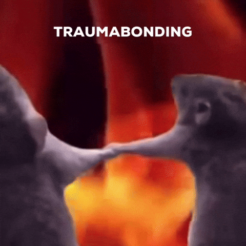 Agency Rats GIF by Luceo