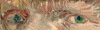 Van Gogh GIF by G1ft3d
