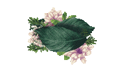 lux_ lux luxbotanicals essenciasdobrasil Sticker