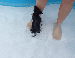 happy dog GIF by REBEKAH