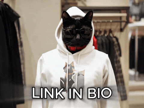 Link In Bio Cat Hoodie GIF
