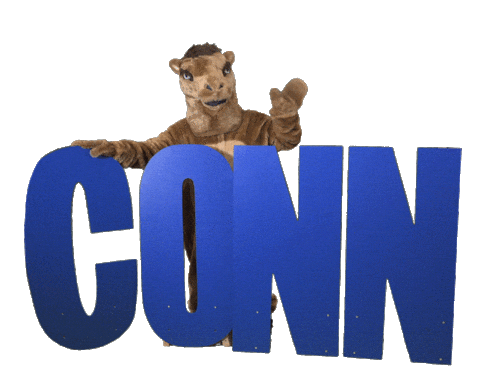 Conncoll Sticker by Connecticut College