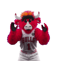 Lets Go Sport Sticker by Chicago Bulls