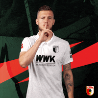 Football Bundesliga GIF by FC Augsburg 1907