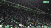 Get In There Celtic Fc GIF by Celtic Football Club