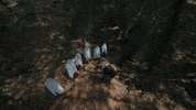 Mdentertainment GIF by MD Pictures