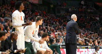 miamihurricanes happy sports basketball celebration GIF